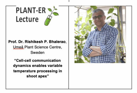 Towards entry "Plant-ER Lecture: Die Dynamik der Zell-Zell-Kommunikation ermöglicht eine variable Temperaturverarbeitung in der Sprossenspitze"